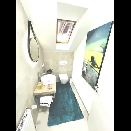 Apartment Modern Und Stilvoll In Der Sinsheim