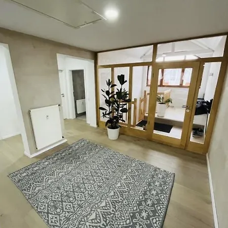 Apartment Modern Und Stilvoll In Der Sinsheim